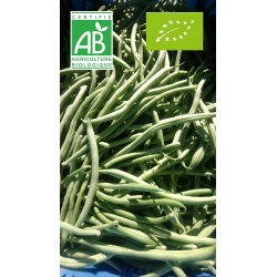 Haricot vert (250 g)