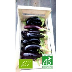 Aubergine ronde de Valence...