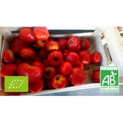 Tomate ancienne mix (500 g)