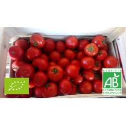 Tomate ronde rouge (500 g)