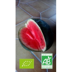 Pastèque tranche de 1 kg...
