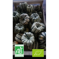 Courge Patidou (Sweet...