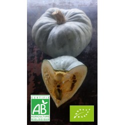 Courge - potiron bleu de...