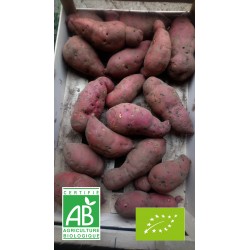 Patate douce (1 kg)