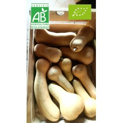 Courge Butternut (env 1 kg)